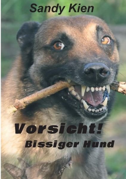 Cover for Kien · Vorsicht, bissiger Hund! (Buch) (2017)