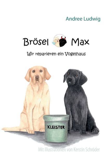 Cover for Andree Ludwig · Broesel &amp; Max: Wir reparieren ein Vogelhaus (Paperback Book) (2020)