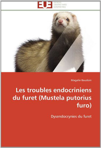 Cover for Magalie Baudoin · Les Troubles Endocriniens Du Furet (Mustela Putorius Furo): Dysendocrynies Du Furet (Paperback Book) [French edition] (2018)