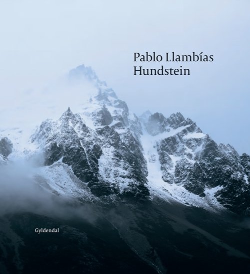 Cover for Pablo Llambías · Hundstein (Hæftet bog) [1. udgave] (2013)