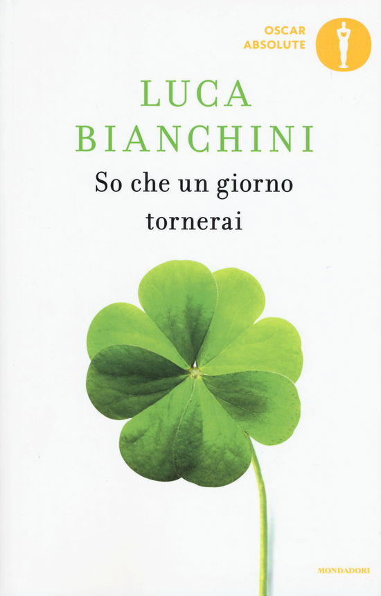 Cover for Luca Bianchini · So Che Un Giorno Tornerai (Book)