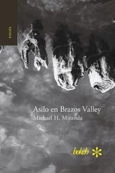 Cover for Michael H Miranda · Asilo en Brazos Valley (Paperback Book) (2017)