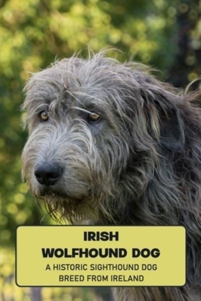 Cover for Lankford Marcus · Irish Wolfhound Dog: A Historic Sighthound Dog Breed from Ireland: How Well You Know ABout Irish Wolfhound Dog? (Pocketbok) (2021)
