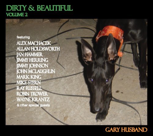 Cover for Gary Husband · Dirty &amp; Beautiful Vol.2 (CD) (2012)