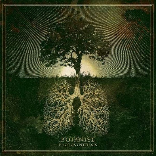 Cover for Botanist · Photosynthesis (LP) (2020)