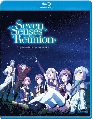 Seven Senses of the Reunion - Seven Senses of the Reunion - Movies - ACP10 (IMPORT) - 0816726021836 - December 3, 2019