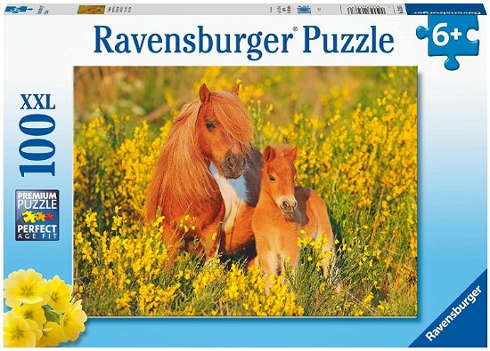 Cover for Ravensburger · Shetlandponys (100 XL Stukjes) (Pussel)