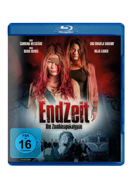 Cover for Kohlhof,gro Swantje / Lehrer,maja / Dyrholm,tri · Endzeit-die Zombieapokalypse (Blu-ray) (2020)