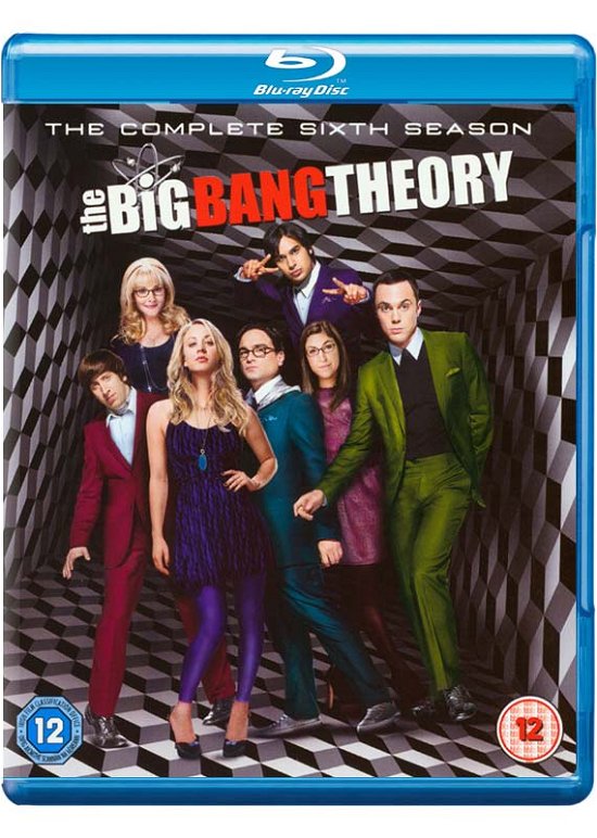 Cover for Big Bang Theory The · Season 6 (Blu-ray) (2013)