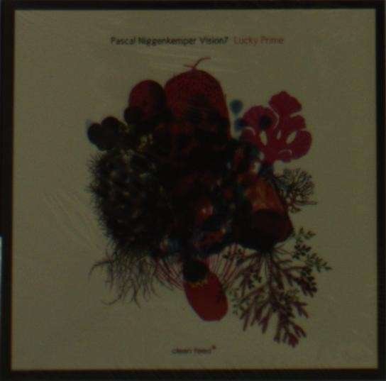 Cover for Pascal Niggenkemper · Lucky Prime / Vision 7 (CD) (2013)