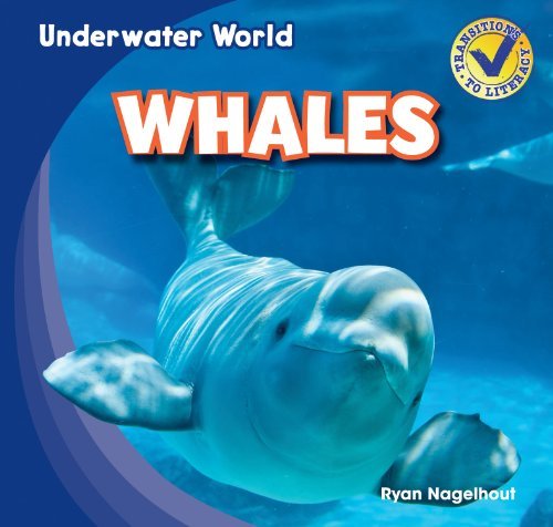 Whales (Underwater World) - Ryan Nagelhout - Livros - Gareth Stevens Publishing - 9781433985836 - 16 de janeiro de 2013