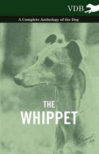 Cover for The Whippet - a Complete Anthology of the Dog (Pocketbok) (2010)