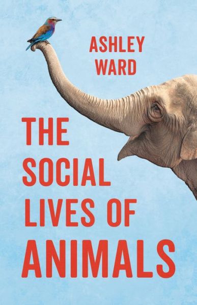 The Social Lives of Animals - Ashley Ward - Książki - Basic Books - 9781541600836 - 1 marca 2022