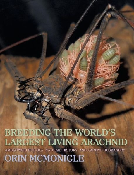 Cover for Orin McMonigle · Breeding the World's Largest Living Arachnid: Amblypygid (Whipspider) Biology, Natural History, and Captive Husbandry (Hardcover Book) (2013)