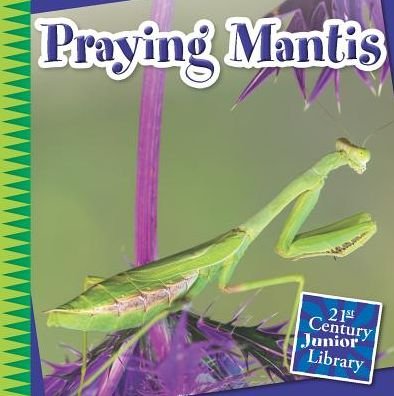 Cover for Tamra Orr · Praying Mantis (Paperback Book) (2015)