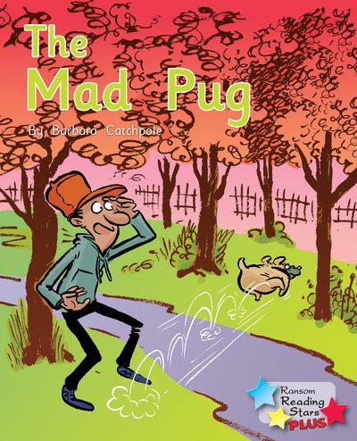 Cover for Barbara Catchpole · The Mad Pug - Reading Stars Plus (Paperback Bog) (2019)