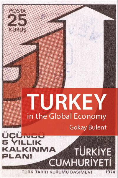 Cover for Gokay, Professor Bulent (Keele University) · Turkey in the Global Economy: Neoliberalism, Global Shift and the Making of a Rising Power (Hardcover Book) (2020)