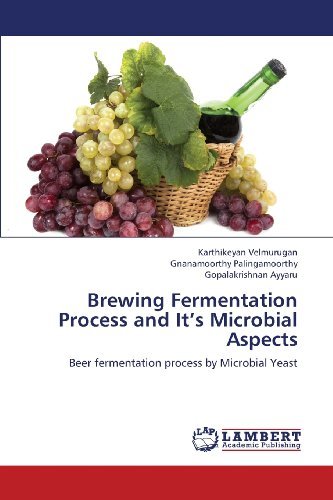 Cover for Gopalakrishnan Ayyaru · Brewing Fermentation Process and It's Microbial Aspects: Beer Fermentation Process by Microbial Yeast (Paperback Book) (2013)
