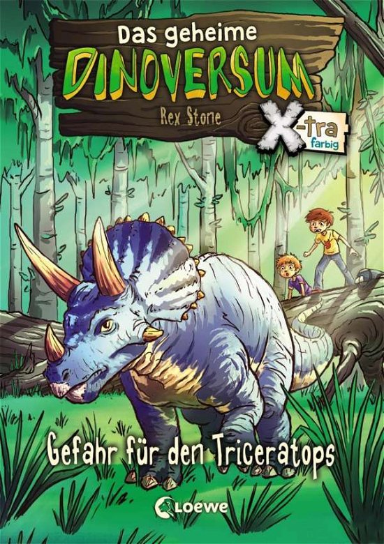 Cover for Stone · Das geheime Dinoversum Xtra,Gefah (Bog)
