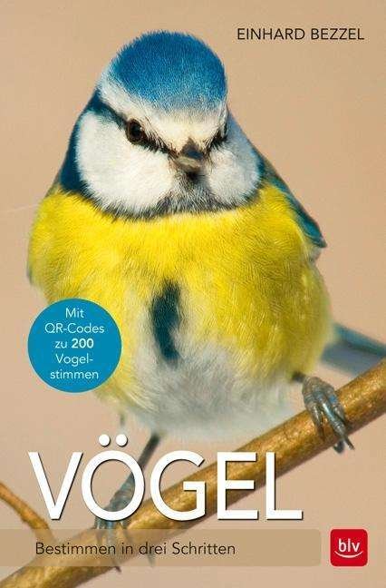 Cover for Bezzel · Vögel (Book)
