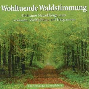 Cover for Naturgeräusche · Wohltuende Waldstimmung (CD) (2011)