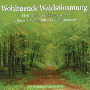 Wohltuende Waldstimmung - Naturgeräusche - Música - AVITA - 9783893215836 - 7 de marzo de 2011