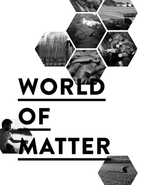 Cover for Inke Arns · World of Matter (Paperback Book) (2020)