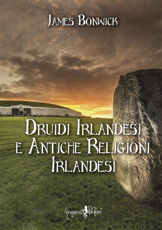 Cover for James Bonwick · Druidi Irlandesi E Antiche Religioni Irlandesi (Book)