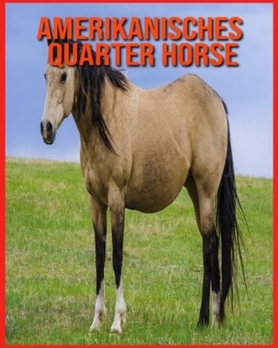 Cover for Alicia Moore · Amerikanisches Quarter Horse (Paperback Book) (2021)