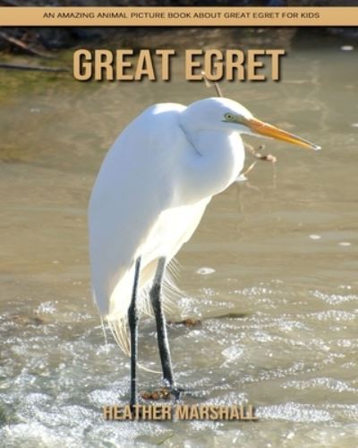 Cover for Heather Marshall · Great Egret: An Amazing Animal Picture Book about Great Egret for Kids (Paperback Book) (2021)