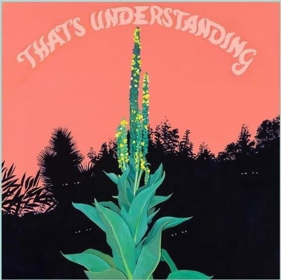 Cover for Village of Spaces · That's Understanding (CD) (2023)