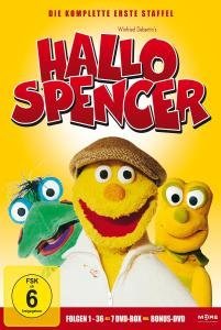 Cover for Hallo Spencer · Hallo Spencer-die Komplette 1.staffel (Ep.1-36) (DVD) (2009)