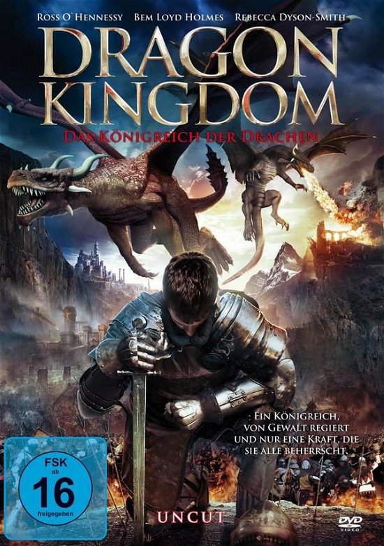 Cover for Bouchet,adrian / Ohennessy,ross / Moore,jemma · Dragon Kingdom - Das Königreich Der Drachen (Uncut (DVD) (2020)