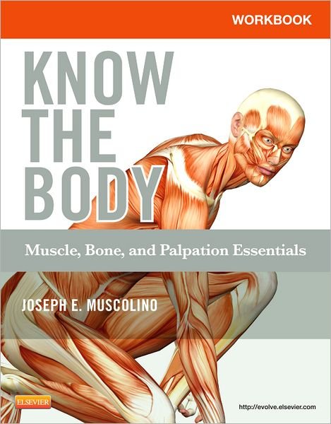 Cover for Muscolino, Joseph E. (Instructor, Purchase College, State University of New York, Purchase, New York; Owner, The Art and Science of Kinesiology, Redding, Connecticut) · Workbook for Know the Body: Muscle, Bone, and Palpation Essentials (Pocketbok) (2012)