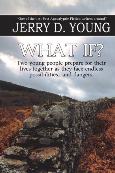 Cover for Jerry D Young · What If? (Pocketbok) (2015)