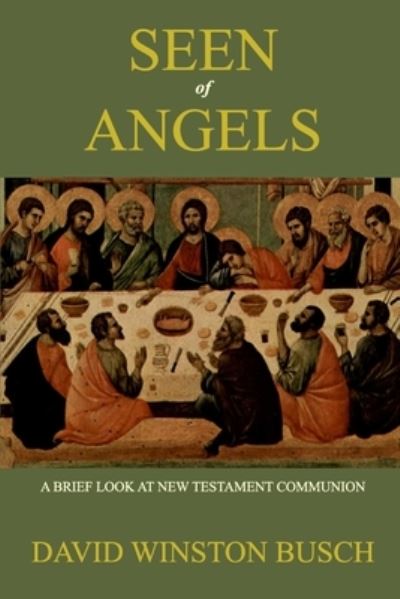 Cover for David Winston Busch · Seen of Angels (Paperback Book) (2021)