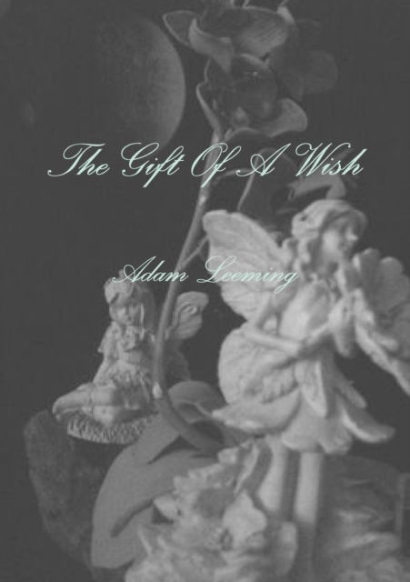 Cover for Adam Leeming · The Gift of A Wish (Paperback Book) (2011)