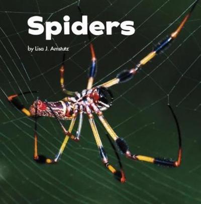 Cover for Lisa J. Amstutz · Spiders - Little Critters (Paperback Book) (2018)