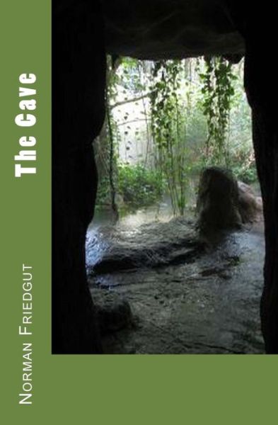 Cover for Norman Friedgut · The Cave (Paperback Book) (2014)