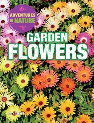 Garden Flowers - Cath Senker - Książki - PowerKids Press - 9781508145837 - 30 grudnia 2015