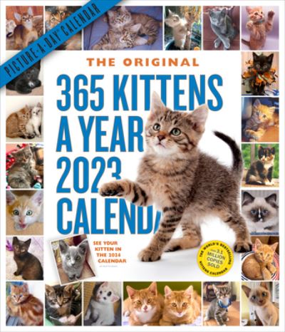 Cover for Workman Calendars · 365 Kittens-A-Year Picture-A-Day Wall Calendar 2023: Absolutely Spilling Over With Kittens (Calendar) (2022)