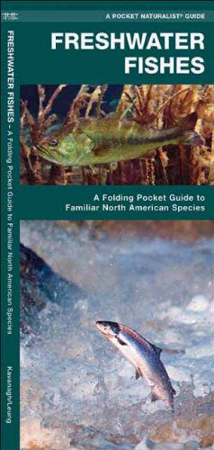 Freshwater Fishes: A Folding Pocket Guide to Familiar North American Species - Pocket Naturalist Guide Series - James Kavanagh - Livros - Waterford Press Ltd - 9781583551837 - 31 de maio de 2018