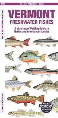 Cover for Waterford Press · Vermont Freshwater Fishes: A Waterproof Folding Guide to Native and Introduced Species - Pocket Naturalist Guide (Pamflet) (2024)