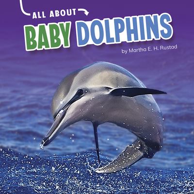 Cover for Martha E H Rustad · All about Baby Dolphins (Hardcover Book) (2021)