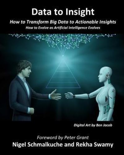 Cover for Rekha Swamy · Data to Insight (Paperback Book) (2019)