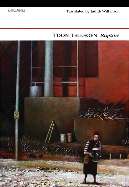 Cover for Toon Tellegen · Raptors (Paperback Book) (2011)