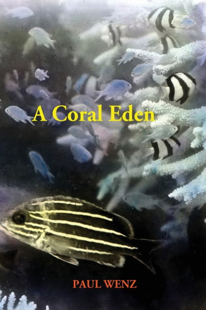 Cover for Paul Wenz · A Coral Eden (Paperback Book) (2021)