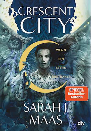 Cover for Sarah J. Maas · Crescent City  Wenn ein Stern erstrahlt (Bog) (2022)