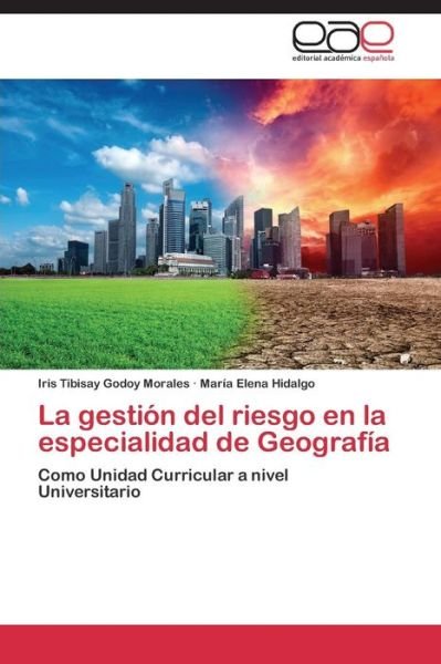 Cover for Hidalgo Maria Elena · La Gestión Del Riesgo en La Especialidad De Geografía (Paperback Book) [Spanish edition] (2014)