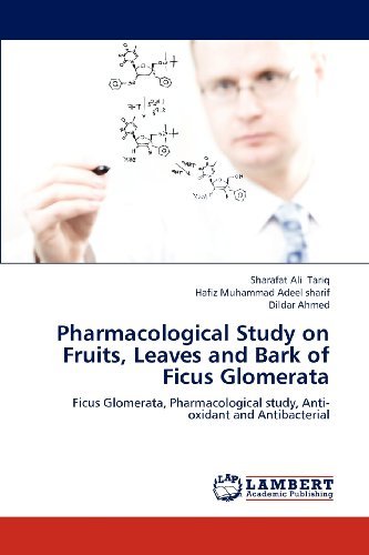 Pharmacological Study on Fruits, Leaves and Bark of Ficus Glomerata: Ficus Glomerata, Pharmacological Study, Anti-oxidant and Antibacterial - Dildar Ahmed - Bücher - LAP LAMBERT Academic Publishing - 9783659230837 - 20. November 2012